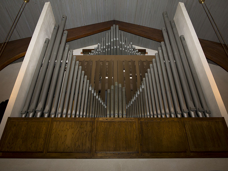 Organ