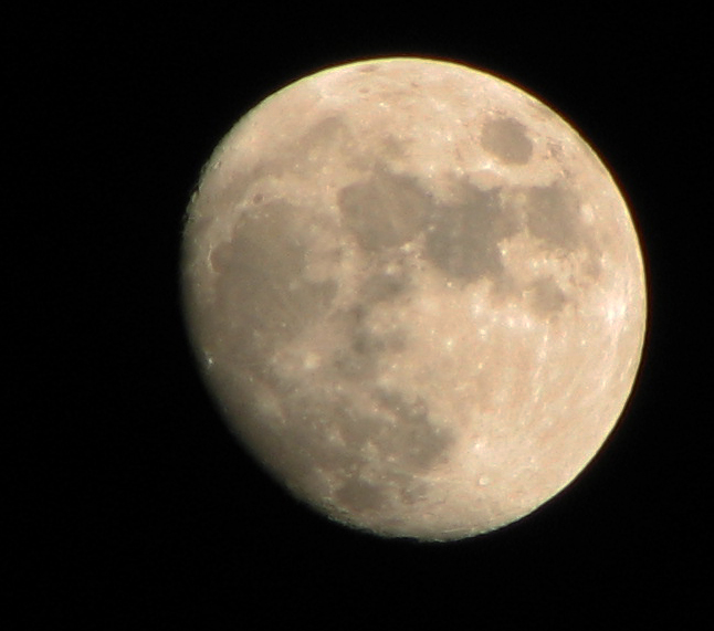 Gibbous Moon