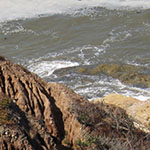 Pt. Loma