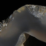 Petrified Wood