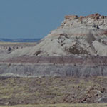 Petrified Forest