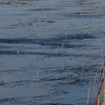 Windswept Water