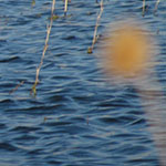 Windswept Water