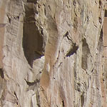 Cliff Face