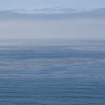 Ocean as lagoon