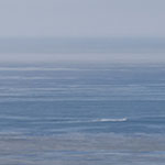 Ocean and a layer-cake