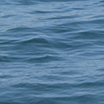 Ocean Swells
