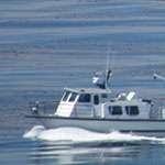 Boat and Morning Sea