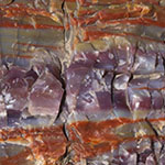 Petrified Wood, Crystal Forest