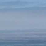 Morning Fog