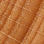 Beechwood cross section