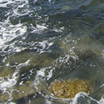 Surf
