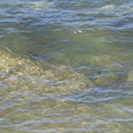 Seashore