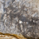 Agate Slice
