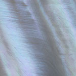 Freshwater Clam