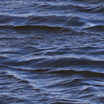 Windblown Waters