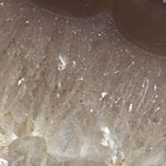 Agate Slice