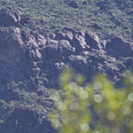 Vulture Peak