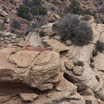 Spider Rock, Taller Tower