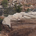 Spider Rock Overlook