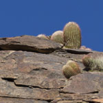 Cliff-Face
